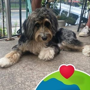 Meet your Posher, Jazmin